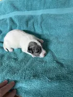 processed/539e76d2-7c17-4227-9488-b256e3bc7abe/listing/31672af3-8cd5-4a99-9b6f-412bd7ea06ce/f3b89428-c805-47ad-9672-7cf3ca679824