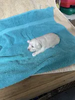 processed/539e76d2-7c17-4227-9488-b256e3bc7abe/listing/40f55a65-56ad-48a4-a811-d8f4188aff56/32b36451-cb80-4f1f-8906-6a74dcef348d