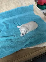 processed/539e76d2-7c17-4227-9488-b256e3bc7abe/listing/40f55a65-56ad-48a4-a811-d8f4188aff56/9257f7b1-8234-45b0-b268-4c02d44edf7e