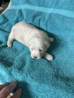 processed/539e76d2-7c17-4227-9488-b256e3bc7abe/listing/40f55a65-56ad-48a4-a811-d8f4188aff56/bd17860b-b3e6-47ec-b7e7-f8a40134a243