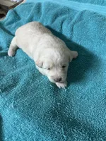 processed/539e76d2-7c17-4227-9488-b256e3bc7abe/listing/40f55a65-56ad-48a4-a811-d8f4188aff56/fd389da3-0348-447b-b0c2-fee304eb1dd1