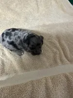 processed/539e76d2-7c17-4227-9488-b256e3bc7abe/listing/49597f59-531b-4802-84fa-8f50aa66b1ec/76bc03f7-202e-40ca-b80a-caa64dca0772