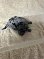 processed/539e76d2-7c17-4227-9488-b256e3bc7abe/listing/49597f59-531b-4802-84fa-8f50aa66b1ec/931d7b6b-d3ee-4f94-aa31-3f55de9eaccb