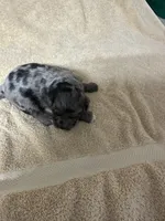 processed/539e76d2-7c17-4227-9488-b256e3bc7abe/listing/49597f59-531b-4802-84fa-8f50aa66b1ec/943c5144-b5c2-4f64-9b85-54fe7b77fa59