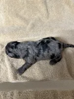 processed/539e76d2-7c17-4227-9488-b256e3bc7abe/listing/49597f59-531b-4802-84fa-8f50aa66b1ec/9a14c751-c904-4bbb-adb6-570098eb5bc2