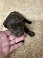 processed/539e76d2-7c17-4227-9488-b256e3bc7abe/listing/64dcf042-f8ad-4cca-a180-727e9cb4d9ca/80ad0274-c2e1-4065-8085-14dca748e72d