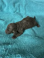 processed/539e76d2-7c17-4227-9488-b256e3bc7abe/listing/83114957-47be-43d6-9fb0-862a14cb90ad/820ddc02-b46b-4b51-a128-d05193266d3d