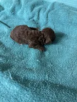 processed/539e76d2-7c17-4227-9488-b256e3bc7abe/listing/83114957-47be-43d6-9fb0-862a14cb90ad/fd4ea4e6-3f96-478f-9a75-305ee2e2fd55