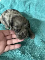 processed/539e76d2-7c17-4227-9488-b256e3bc7abe/listing/a4b5bd22-4fc5-4081-9775-34f02b0bd829/3b32625c-a42c-47c0-8d46-cc623e7ab5e7