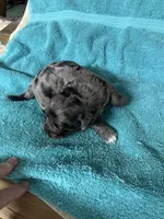 processed/539e76d2-7c17-4227-9488-b256e3bc7abe/listing/a4b5bd22-4fc5-4081-9775-34f02b0bd829/763529b2-c226-4b95-b053-ecc42b3cdd9c