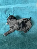 processed/539e76d2-7c17-4227-9488-b256e3bc7abe/listing/a4b5bd22-4fc5-4081-9775-34f02b0bd829/d70ce0e2-ac59-4364-b011-7a1255ca46fa