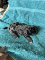 processed/539e76d2-7c17-4227-9488-b256e3bc7abe/listing/a4b5bd22-4fc5-4081-9775-34f02b0bd829/df7fe916-dcbc-44ce-b7d6-6267214e8557