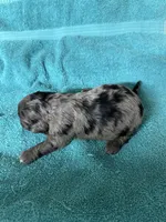 processed/539e76d2-7c17-4227-9488-b256e3bc7abe/listing/a4b5bd22-4fc5-4081-9775-34f02b0bd829/fc1c9ada-8e02-40ee-ac89-1cccdedefbe6