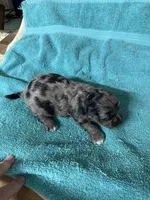 processed/539e76d2-7c17-4227-9488-b256e3bc7abe/listing/a4b5bd22-4fc5-4081-9775-34f02b0bd829/fcc2b9eb-190e-4546-b535-cfc075aa976c