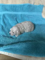 processed/539e76d2-7c17-4227-9488-b256e3bc7abe/listing/bd7f0e6e-3f9e-4a19-aae6-ae6af6770f6f/9a960c09-c232-4450-85c0-ebd6c50e65fc