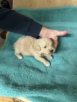 processed/539e76d2-7c17-4227-9488-b256e3bc7abe/listing/bd7f0e6e-3f9e-4a19-aae6-ae6af6770f6f/bb9b29e9-01fd-4303-b2f4-523db6a8384f