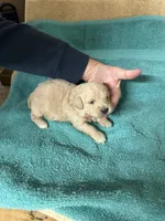 processed/539e76d2-7c17-4227-9488-b256e3bc7abe/listing/bd7f0e6e-3f9e-4a19-aae6-ae6af6770f6f/cc88e644-f956-4f82-9b79-0ca91df525db