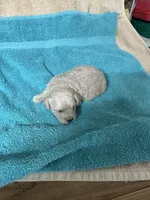 processed/539e76d2-7c17-4227-9488-b256e3bc7abe/listing/bd7f0e6e-3f9e-4a19-aae6-ae6af6770f6f/d30d1086-5495-4a77-ae24-be85ac19b73e