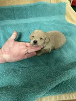 processed/539e76d2-7c17-4227-9488-b256e3bc7abe/listing/bd7f0e6e-3f9e-4a19-aae6-ae6af6770f6f/ffa85679-639a-4831-9471-b26972e0f43a