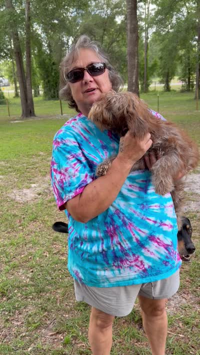 Pattie, a female Miniature Labradoodle for sale in Lake City, FL – 2 of 8