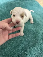 processed/539e76d2-7c17-4227-9488-b256e3bc7abe/listing/e3513a6b-17fb-436f-a31f-1a443ee83330/22987f09-753f-4db4-9232-c7159665ca4f