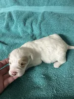 processed/539e76d2-7c17-4227-9488-b256e3bc7abe/listing/e3513a6b-17fb-436f-a31f-1a443ee83330/66e73023-7d86-4117-93b2-7927f72173f0