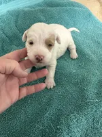 processed/539e76d2-7c17-4227-9488-b256e3bc7abe/listing/e3513a6b-17fb-436f-a31f-1a443ee83330/9f4f6286-3b0b-46b8-8478-394ebe23bd33