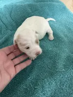 processed/539e76d2-7c17-4227-9488-b256e3bc7abe/listing/e3513a6b-17fb-436f-a31f-1a443ee83330/d9af9b09-e106-4487-8045-fd6488f2200f