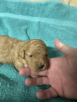 processed/539e76d2-7c17-4227-9488-b256e3bc7abe/listing/f44f391a-d1ee-41f9-b4a1-777bc546dcc6/7a4fd258-dc4a-4f3d-b5be-6ef4b1cbe25a