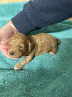 processed/539e76d2-7c17-4227-9488-b256e3bc7abe/listing/f44f391a-d1ee-41f9-b4a1-777bc546dcc6/c5dc2eb3-860d-49df-8b1b-27e308235002