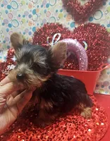 processed/539f2797-54f3-4f0c-a98e-c4634e45a0b9/listing/32f9866e-4837-4777-8993-751542c03de1/2171cb79-1c91-4a9d-aed0-48ea428eafee