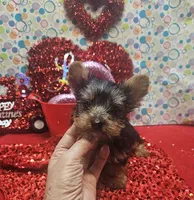 processed/539f2797-54f3-4f0c-a98e-c4634e45a0b9/listing/32f9866e-4837-4777-8993-751542c03de1/622f0a31-95f4-497c-a245-29b0e32d6ebd