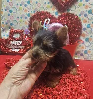 processed/539f2797-54f3-4f0c-a98e-c4634e45a0b9/listing/32f9866e-4837-4777-8993-751542c03de1/65cb8d09-e168-4502-8732-194a2bc35fb6