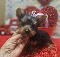 processed/539f2797-54f3-4f0c-a98e-c4634e45a0b9/listing/32f9866e-4837-4777-8993-751542c03de1/8e3579ed-a4f9-477b-bfb4-ea3946d31321