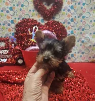 processed/539f2797-54f3-4f0c-a98e-c4634e45a0b9/listing/32f9866e-4837-4777-8993-751542c03de1/93b850a9-1326-4633-9a33-eb2abcecd165