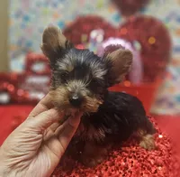 processed/539f2797-54f3-4f0c-a98e-c4634e45a0b9/listing/32f9866e-4837-4777-8993-751542c03de1/c4446900-c88a-4a5a-801f-fdd9ad3dedd7