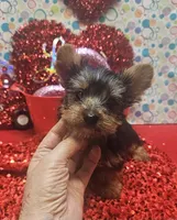 processed/539f2797-54f3-4f0c-a98e-c4634e45a0b9/listing/32f9866e-4837-4777-8993-751542c03de1/c6fe42d5-7380-4d1c-bb46-236c17a76033