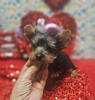 processed/539f2797-54f3-4f0c-a98e-c4634e45a0b9/listing/32f9866e-4837-4777-8993-751542c03de1/d641459e-43b1-4fbd-a6b8-02e8b2a60f5a