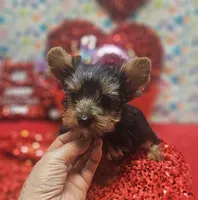 processed/539f2797-54f3-4f0c-a98e-c4634e45a0b9/listing/32f9866e-4837-4777-8993-751542c03de1/e7595f09-f4de-41f4-ba16-83989a2ddeba