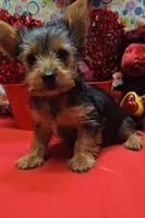 processed/539f2797-54f3-4f0c-a98e-c4634e45a0b9/listing/75924496-16a0-42e5-a6f1-5cfdeb44c32e/9c8a9c98-e005-4c40-a7c9-0a1903e011ca