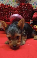 processed/539f2797-54f3-4f0c-a98e-c4634e45a0b9/listing/75924496-16a0-42e5-a6f1-5cfdeb44c32e/b7041009-7de6-43cf-8bd1-41b7d1b33e5c