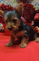 processed/539f2797-54f3-4f0c-a98e-c4634e45a0b9/listing/75924496-16a0-42e5-a6f1-5cfdeb44c32e/fafbf7a6-8681-495d-908c-c2c9b2458fd1