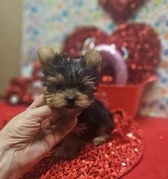 processed/539f2797-54f3-4f0c-a98e-c4634e45a0b9/listing/f1e3a0f1-847f-4fcd-be31-b0797a44235e/2e7c65e6-694b-4730-8764-adfadae04e77