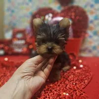 processed/539f2797-54f3-4f0c-a98e-c4634e45a0b9/listing/f1e3a0f1-847f-4fcd-be31-b0797a44235e/76d8a028-895e-47fb-af7e-76adc039d700