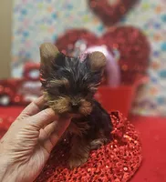 processed/539f2797-54f3-4f0c-a98e-c4634e45a0b9/listing/f1e3a0f1-847f-4fcd-be31-b0797a44235e/7bde2930-521a-437e-96e0-dde46b2e1bcc