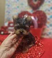 processed/539f2797-54f3-4f0c-a98e-c4634e45a0b9/listing/f1e3a0f1-847f-4fcd-be31-b0797a44235e/d66ea1f6-7ba6-437c-aa97-25f800643761