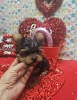 processed/539f2797-54f3-4f0c-a98e-c4634e45a0b9/listing/f1e3a0f1-847f-4fcd-be31-b0797a44235e/d79a1541-dfd1-4c6a-9e0a-5b848699b4a1