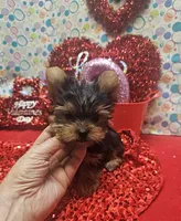 processed/539f2797-54f3-4f0c-a98e-c4634e45a0b9/listing/f1e3a0f1-847f-4fcd-be31-b0797a44235e/dcc8e6a4-d41c-4485-b6ab-2c766928dc26