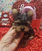 processed/539f2797-54f3-4f0c-a98e-c4634e45a0b9/listing/f1e3a0f1-847f-4fcd-be31-b0797a44235e/f899c4fd-427b-4683-8f6d-99e36062cb79