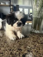 processed/53b548c8-947e-4511-a9f0-e05fa5f41699/facility/66f9f8a1-1932-435c-9f36-441ca7169430